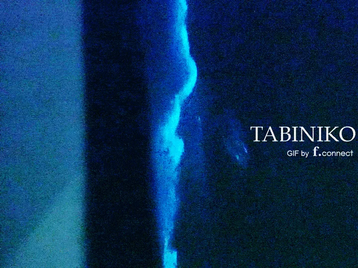 Malaysia Sea Firefly(Blue Tears)(Same place as Malaysia Sky Mirror)Day Trip Hot Spot from KL