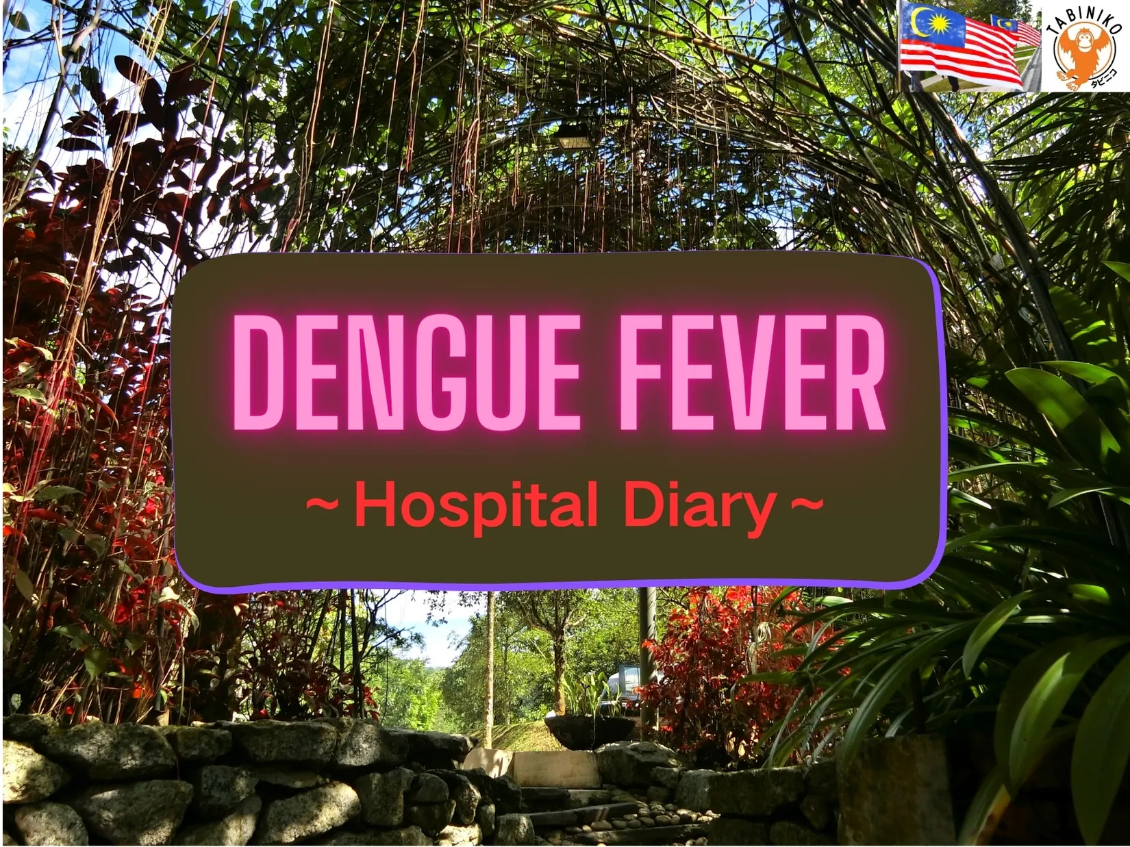 🦟Dengue Fever 🦟 Hospital Diary