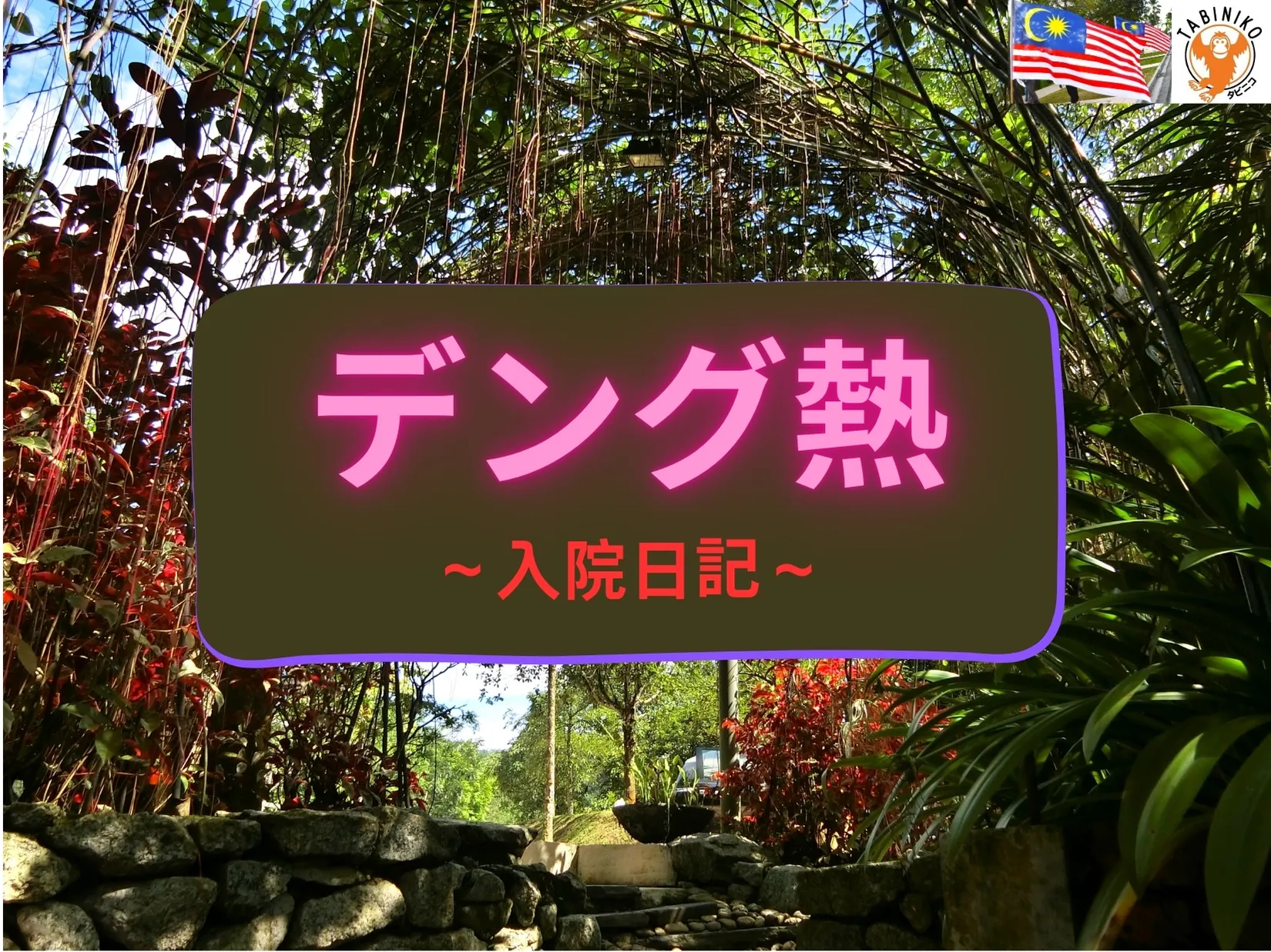 🦟デング熱🦟入院日記