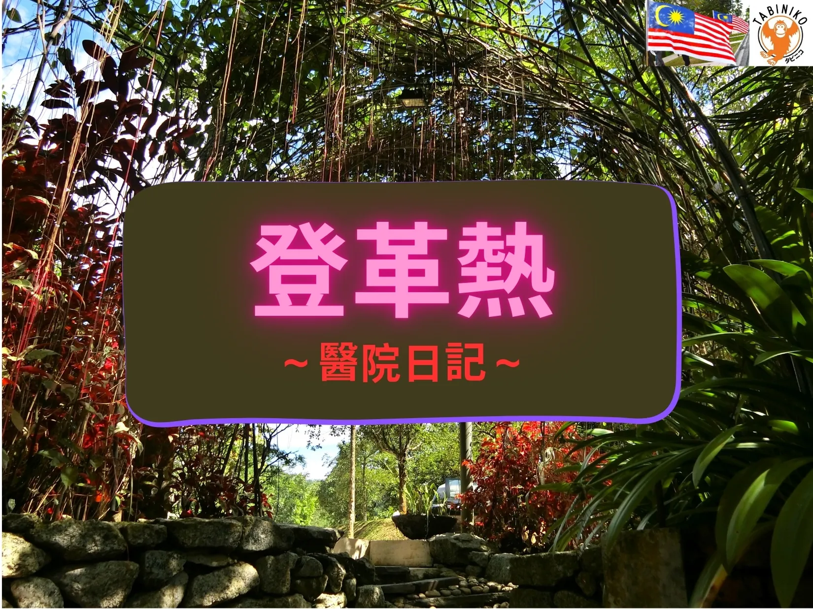 🦟登革熱 🦟 住院日記