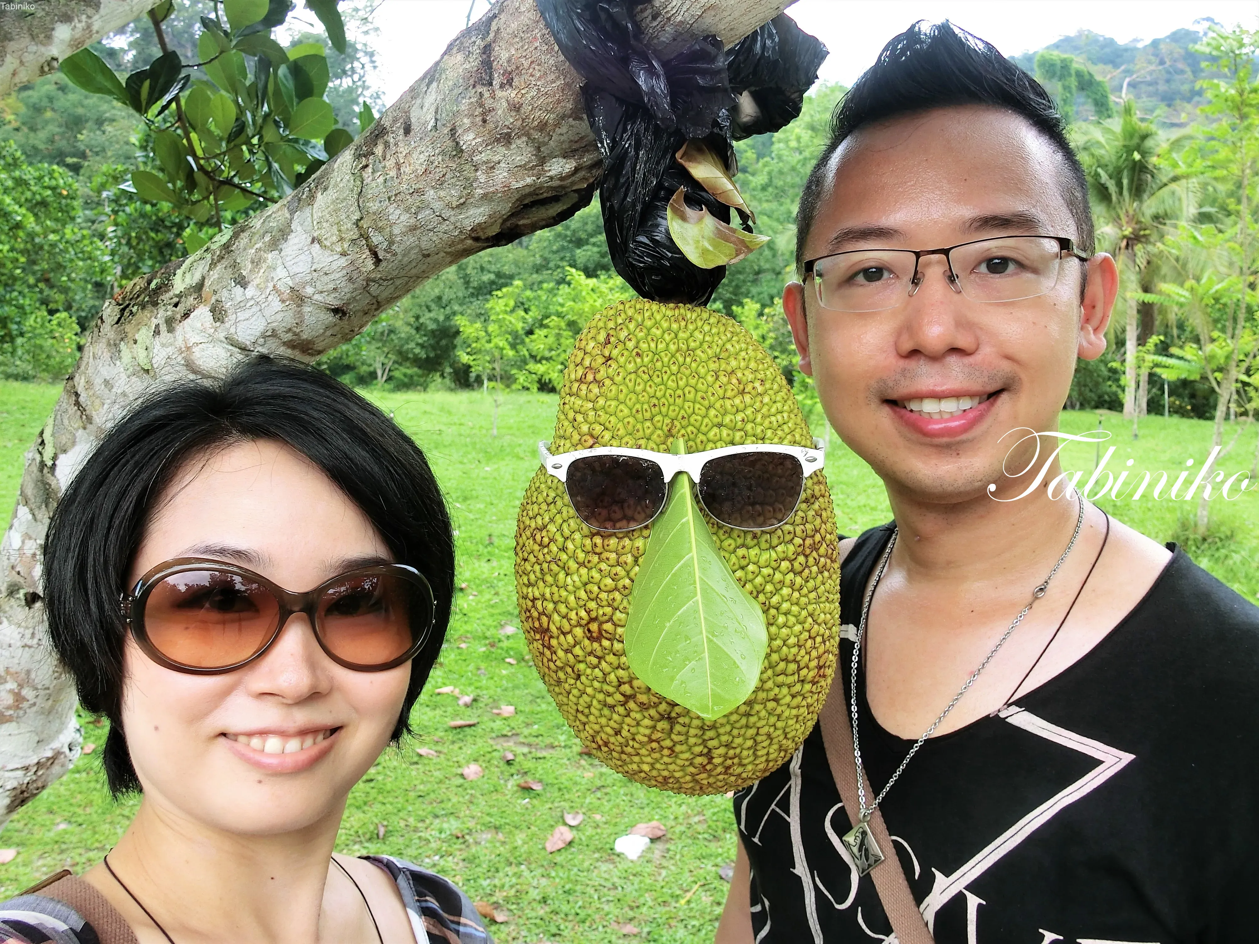 Langkawi Mardi Agrotechnology Park (ランカウイ マーディ 農業科学 パーク) in Langkawi マレーシア旅行