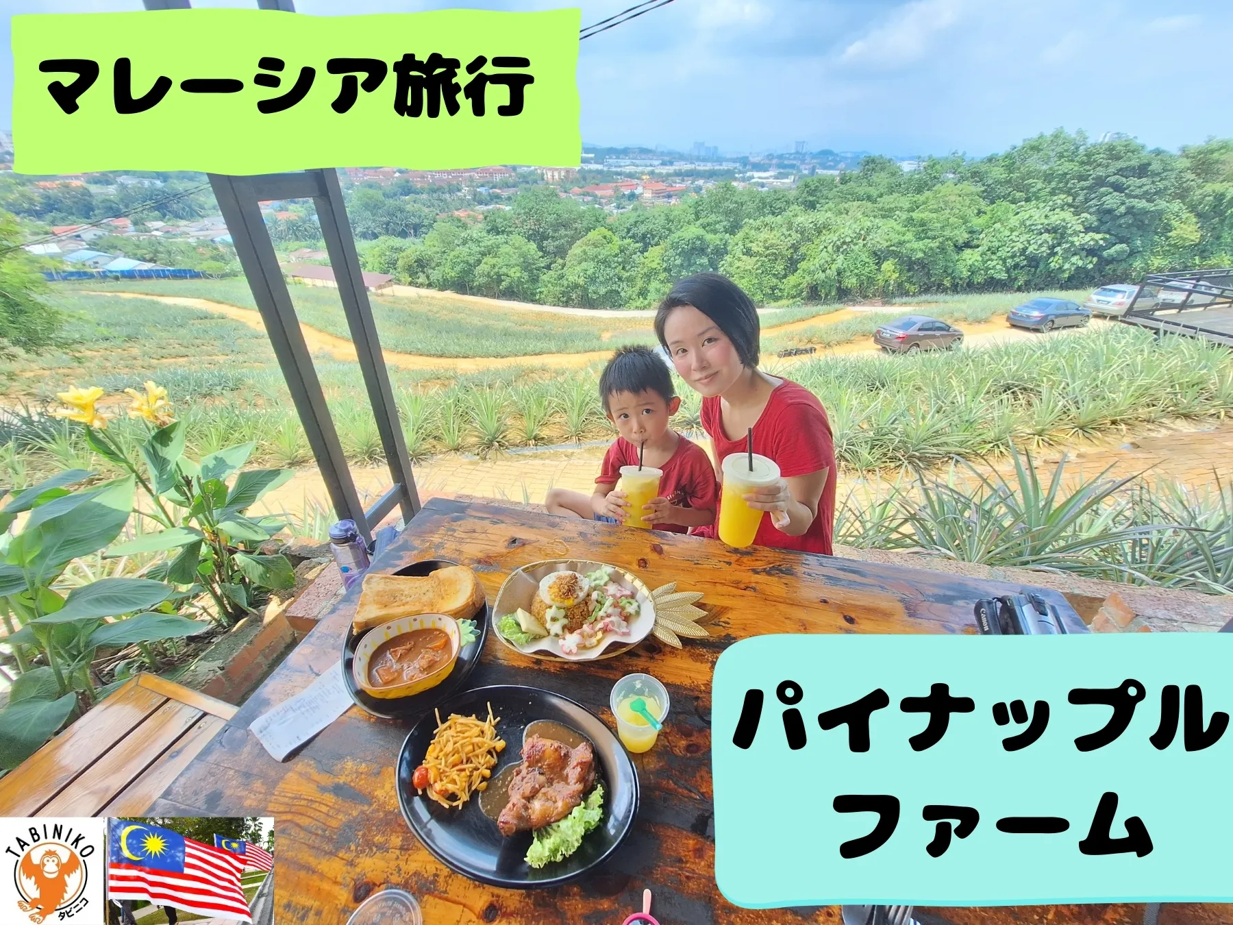 パイナップルファームカフェでフレッシュなパイナップルジュースとパイナップル入りご飯を食べてエネルギーチャージ😋