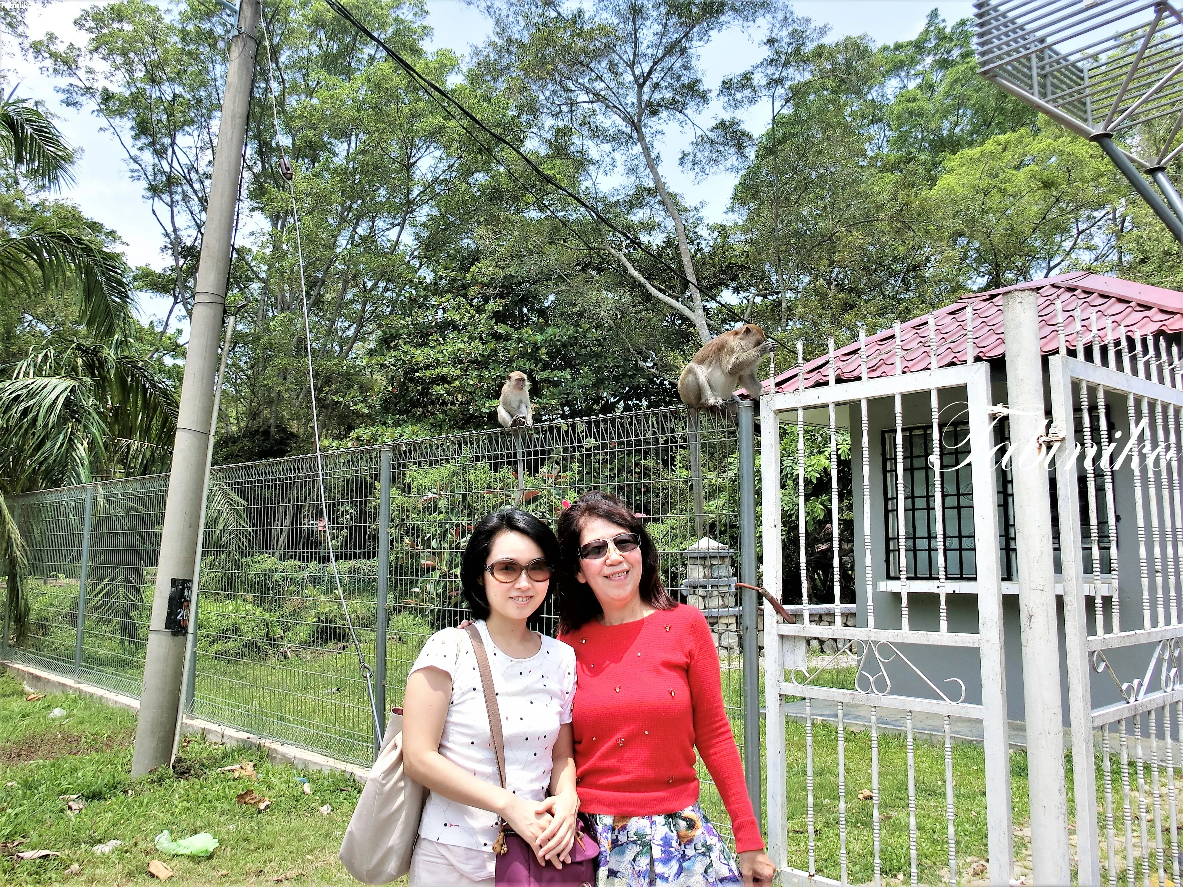 Taman Alam Kuala Selangor Park in Kuala Selangor【Travel to Malaysia】