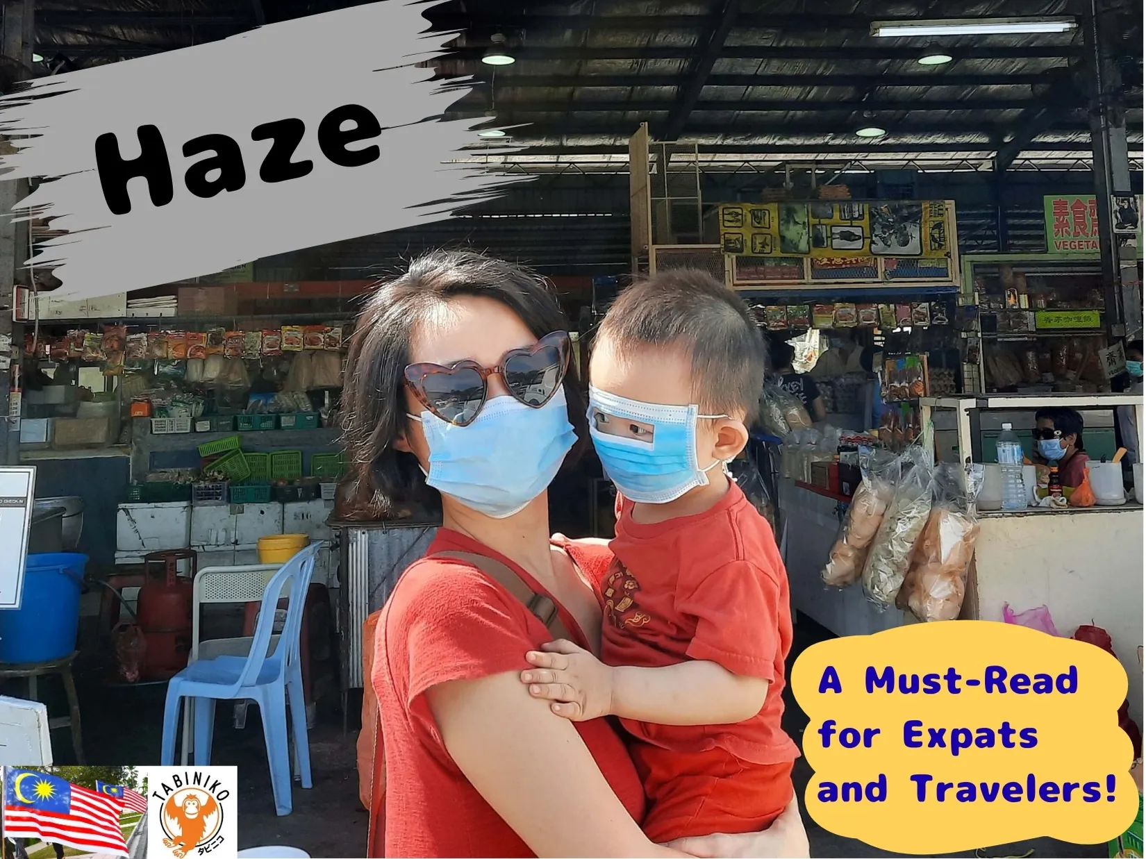 🌫️What Is the “Haze” That Covers the Malaysian Sky?