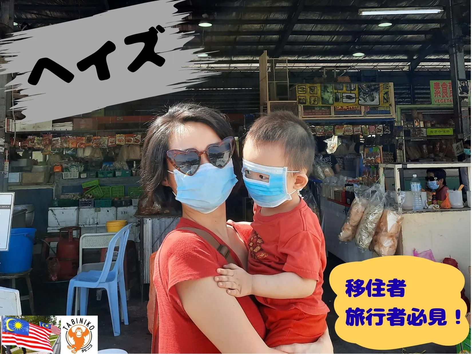 🌫️マレーシアの空に広がる「ヘイズ」とは？